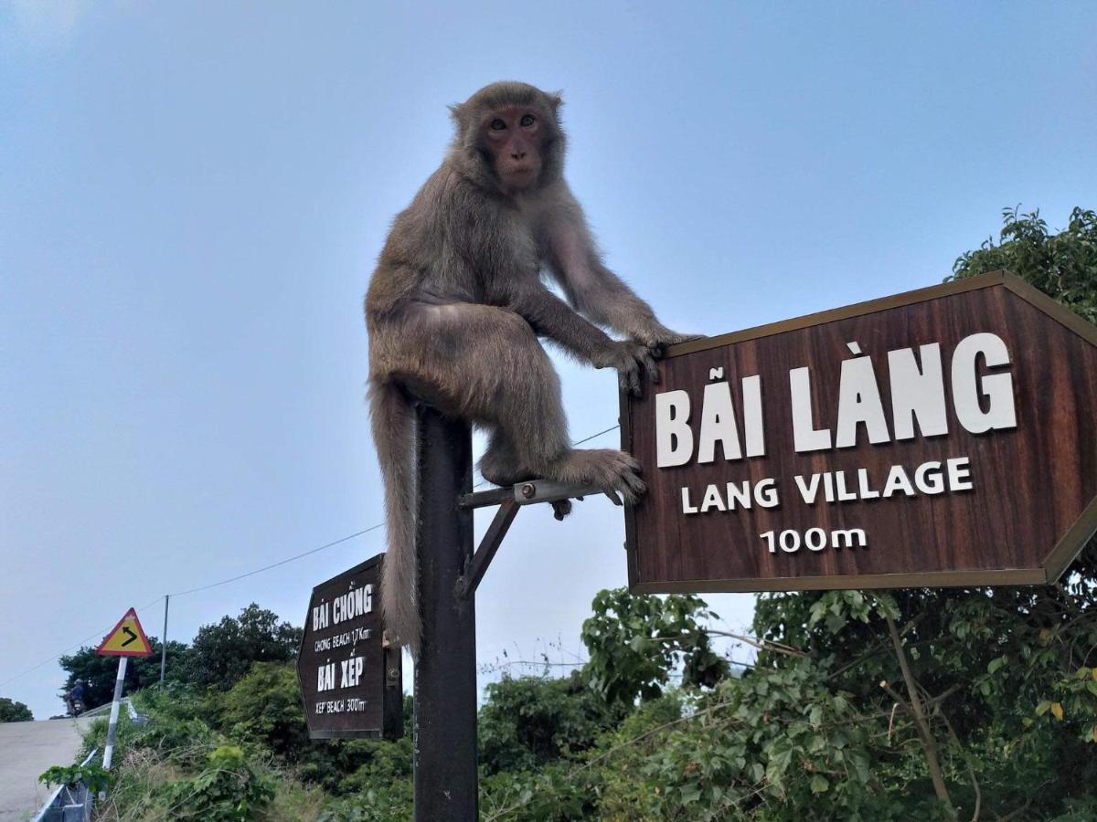 Monkeyland Cham Island Homestay Tân Hiệ المظهر الخارجي الصورة